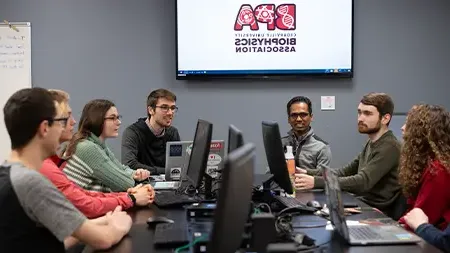 Group working in a computer lab.